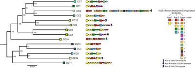 Modular Molecular Weaponry Plays a Key Role in Competition Within an Environmental Vibrio cholerae Population